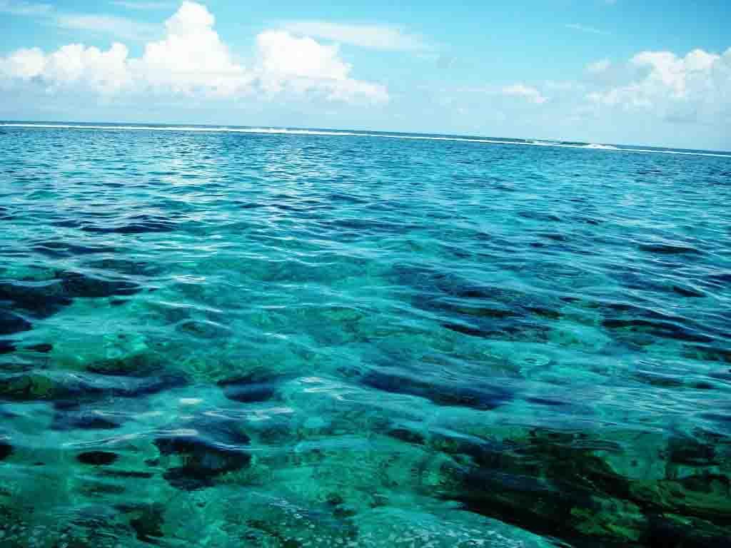 droits de la mer ps76 76 source http://www.delafouchardiere.net