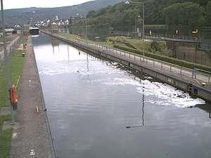 Bosco à l'écluse de Fankel