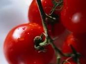 Bruschetta poivrons tomates