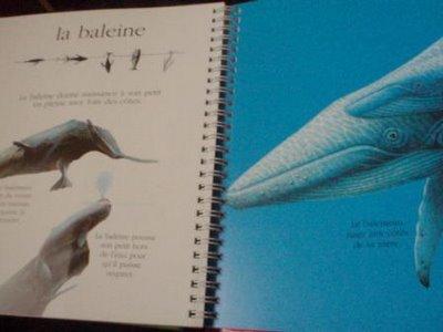 L'histoire réelle des animaux