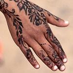 Le henné de Tazzarine, une plante connue dans tout le Maroc