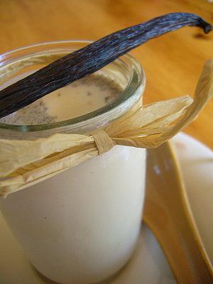 Yaourts à la vanille