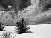 imbéciles changent d'avis