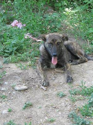 Une épine dans le pied!