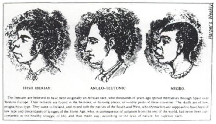 scientific_racism_irish.1242377163.jpg