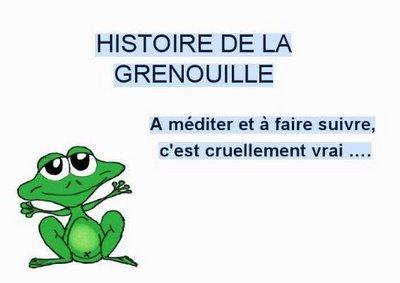 Histoire de grenouille