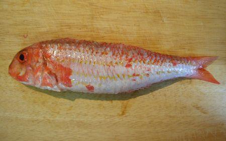 Fileter un poisson rond... en images