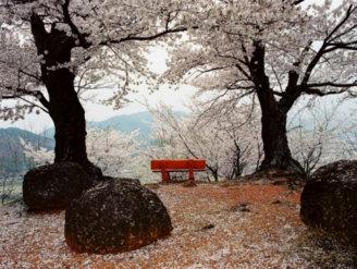 Photos aux enchères