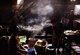 Photos aux enchères