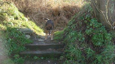 La Cène de Séraphine