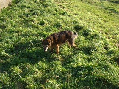 La Cène de Séraphine