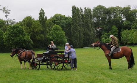 La Marath'Yonnaise : succès populaire malgré la pluie !