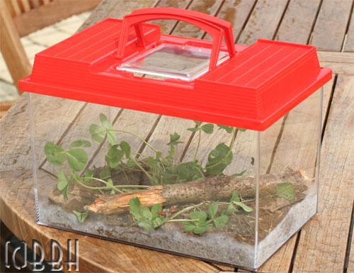 Le terrarium Fauna Box de Savic