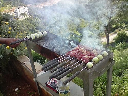 Barbecue Libanais dans le Jardin
