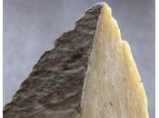 Leçon sandwich fromages