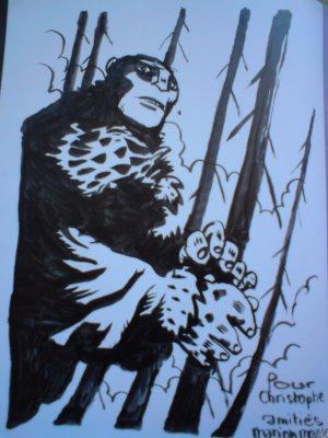 BD : DEDICACES  2009 / PARTIE IV