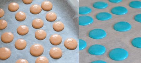 Macarons 17 05 09 2 450.jpg