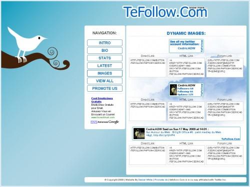 tefollow 1 500x375 TeFollow, pour tout savoir sur un compte Twitter