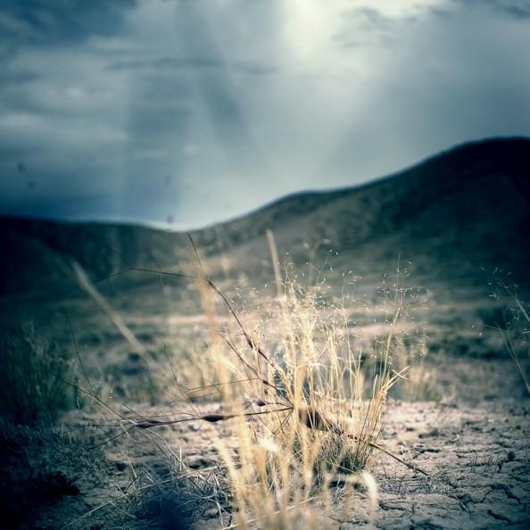 a part of the desert iv by vexingart 594x594 Photographie: Vexingart