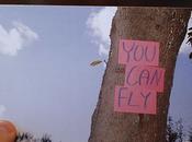 stages danse programmés Lion