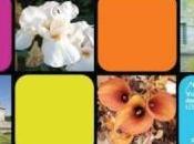 Groupe d'Art Floral présent l'exposition Irisiades Château d’Auvers