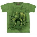Triceratops T-shirt enfant