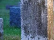 Trois enfants interpellés pour dégradation tombes