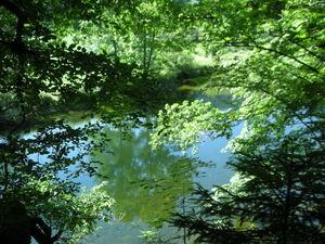 divers_printemps__t__08_012