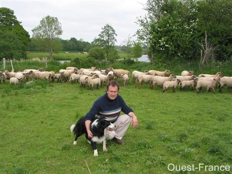 Les moutons tondeuses sont de retour et חa se passe sur Soliblog