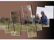 Astuce collage quelques clics