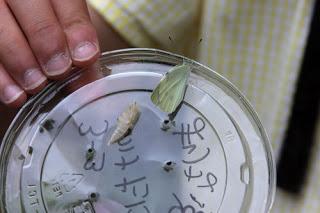 Dernières nouvelles