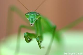 Ce petit monde qui nous entoure