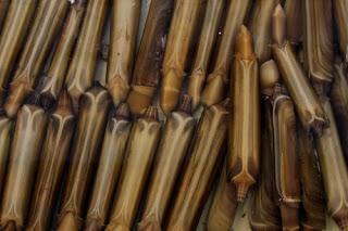 Les délices de la mer