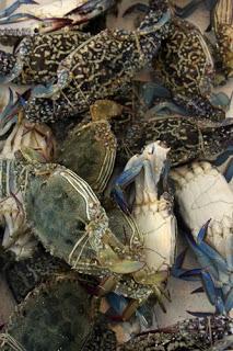 Les délices de la mer