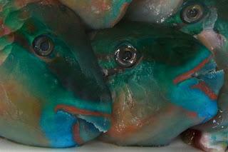 Les délices de la mer