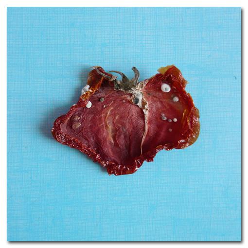 Inventaire Alimentaire |026|027|028|