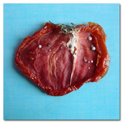 Inventaire Alimentaire |026|027|028|