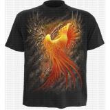Phoenix rising T-shirt