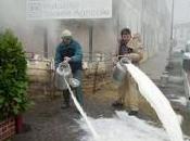 Mobilisation laitiers Français