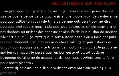 Un critique critiquante de Solibog sur Soliblog