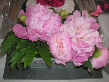 table_pivoines_043