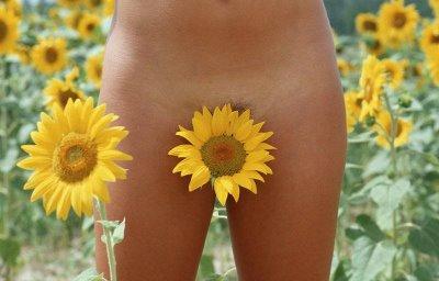 s'entrer dans les mots