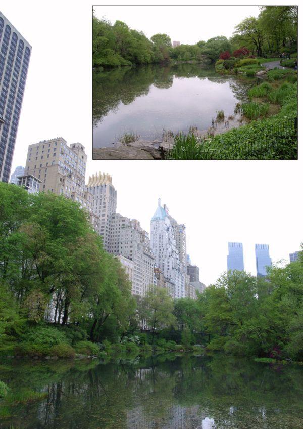 Central Park (1)