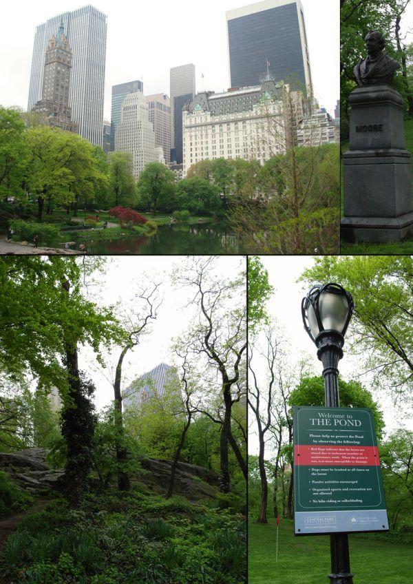 Central Park (1)