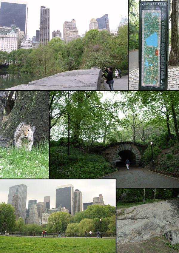 Central Park (1)