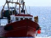 Grenelle trois syndicats s'engagent pour pêche plus écologique