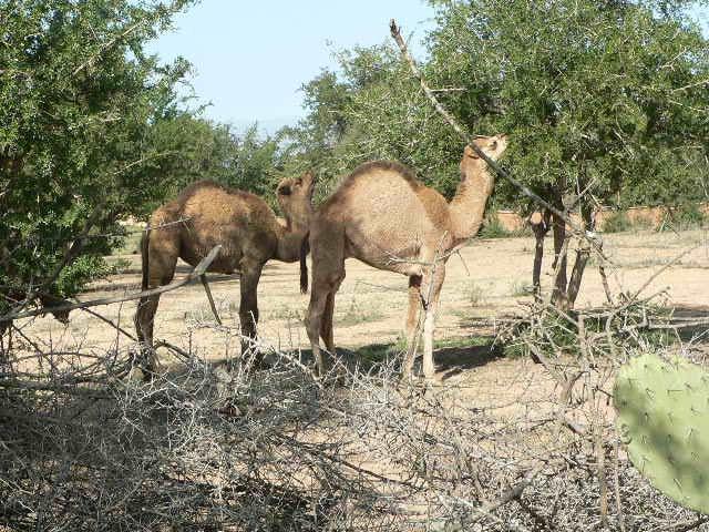 Ohé cher Raciste! Et que reproches-tu à ton voisin ?