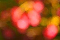 Affaire de couleurs ?...