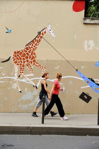 Sur les murs du Carré de Baudouin