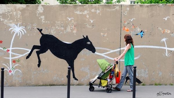 Sur les murs du Carré de Baudouin